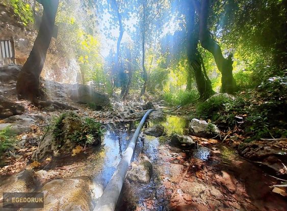 Kemalpaşa Çiniliköy Sınırı İle Nazarköy Arası Muhteşem Kırazlık - İZMİR KEMALPAŞA fotoğraf 6